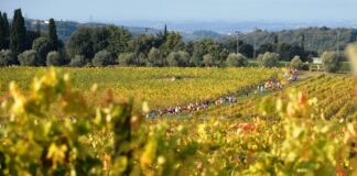 EcoMaratona del Chianti: si torna a correre e passeggiare fra i vigneti del Chianti Classico