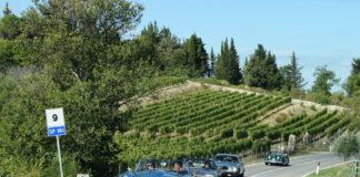 Motori e bellezze nelle nostre colline. Le Jaguar nelle terre del Chianti