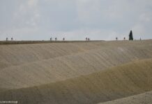 La gara ciclistica Strade Bianche passa da Castelnuovo Berardenga