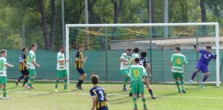 Dalla Serie D alla Seconda categoria: ecco la domenica che aspetta le “nostre” squadre