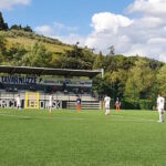 tavaruzze montaione
