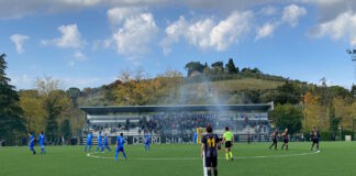 Terne insufficienti per Eccellenza e Promozione? La proposta del Lebowski: “Rimborsi arbitrali raddoppiati. E paghi la Serie A”