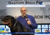 Roberto Malotti e l’addio a Taro, compagno di tante avventure calcistiche