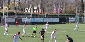 Cardinali risponde al rigore di Centrone: è 1-1 tra Belmonte e Grevigiana. Ma al fischio finale è rabbia gialloblù