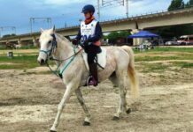 Denise Bigazzi: a Greve in Chianti una delle cavallerizze più “toste” del nostro territorio