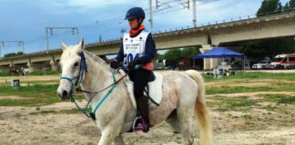 Denise Bigazzi: a Greve in Chianti una delle cavallerizze più “toste” del nostro territorio