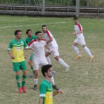 Ludus Belmonte P1000115