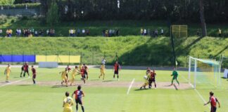 San Donato Tavarnelle, mercoledì il via alla poule scudetto: gialloblù sul campo della Recanatese