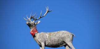 Anche il Cervo di Mario Merz sulle mura medievali celebra il San Casciano Basket