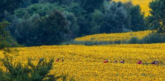 E’ il momento di NOVA Eroica: sabato 25 e domenica 26 giugno