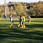 Galluzzo Capolona1