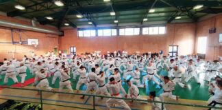 Tzubame ed Empi Dojo: stage e passaggi di cintura e di grado per molti allievi