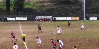 Prima Categoria, tutto torna in ballo nel girone D: il Malmantile batte la Sestese e accorcia la classifica. E a gennaio…