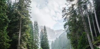 Sport e campeggio: le tendenze per il 2023