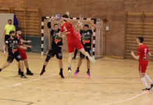 La Pallamano Tavarnelle resiste un tempo, poi la capolista Cingoli si prende la vittoria (26-36)