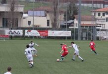 Dilettanti, le “quote” per il 2023/24: 4 in Serie D, solo 2 in Eccellenza e Promozione
