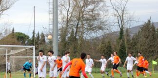 Nessuna rete al ‘Franchi’: finisce 0-0 tra Grevigiana e Aurora Montaione