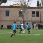 Affrico Antella IMG_1830