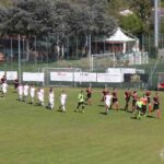 Settignanese Belmonte IMG_1925