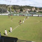 Settignanese Belmonte IMG_1927