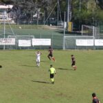 Settignanese Belmonte IMG_1930