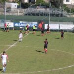 Settignanese Belmonte IMG_1932