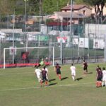 Settignanese Belmonte IMG_1933