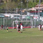 Settignanese Belmonte IMG_1935