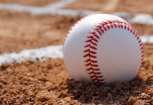 Chianti Baseball, stagione al via con tante novità: prima fra tutte, la fusione con i Cosmos e la nascita dei Chianti Black Rooster