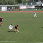 Settignanese Galluzzo IMG_1948