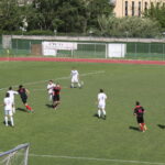 Settignanese Galluzzo IMG_1951