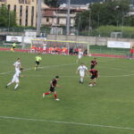 Settignanese Galluzzo IMG_1952