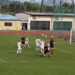Settignanese Galluzzo IMG_1955