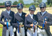 Dressage: i risultati delle allieve della Scuola di Equitazione Micheletto in Umbria