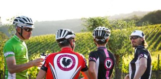 Bici e vendemmia: la Gallo Nero torna ad appassionare in uno dei momenti più magici dell’anno (in Chianti Classico)