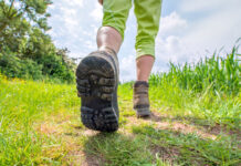 Camminata al tramonto in collina: il 22 luglio con partenza e arrivo al Bigallo