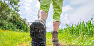 Camminata al tramonto in collina: il 22 luglio con partenza e arrivo al Bigallo