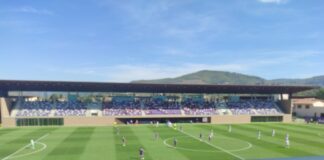 Giornalista (con biglietto pagato) tenuto fuori dal Viola Park: “Costituzione violata”