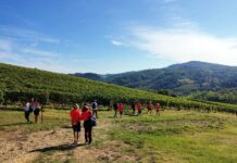 “Meraville”, passeggiata nella storia e nella natura chiantigiana: anche al fianco degli amici a 4 zampe