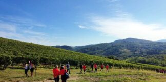 “Meraville”, passeggiata nella storia e nella natura chiantigiana: anche al fianco degli amici a 4 zampe