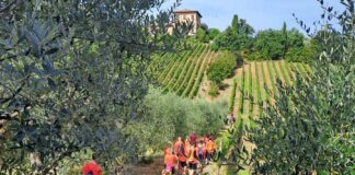 Quest’anno ho fatto Meraville e Chianti Classico Marathon. E…
