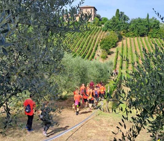 Un nuovo percorso, la stessa voglia di emozionare: signore e signori, l’ottava… MeraVille!