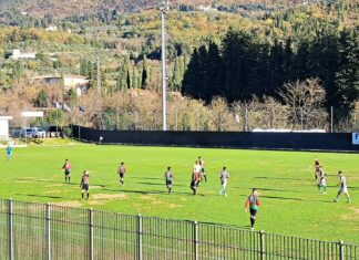fiesole grassina