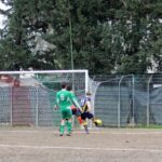 Albereta Grevigiana (1)