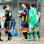 Albereta Grevigiana (10)