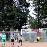 Albereta Grevigiana (2)