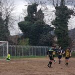 Albereta Grevigiana (6)