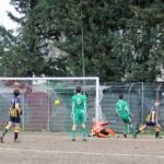 Albereta Grevigiana (8)