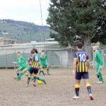 Albereta Grevigiana (9)