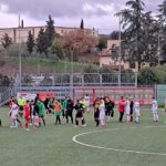 grassina casentino
